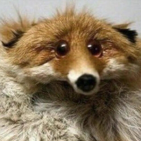 A self portrait of Lilly as a cottagecore faun.